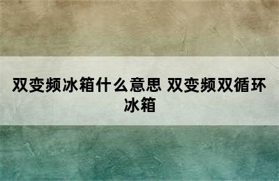 双变频冰箱什么意思 双变频双循环冰箱